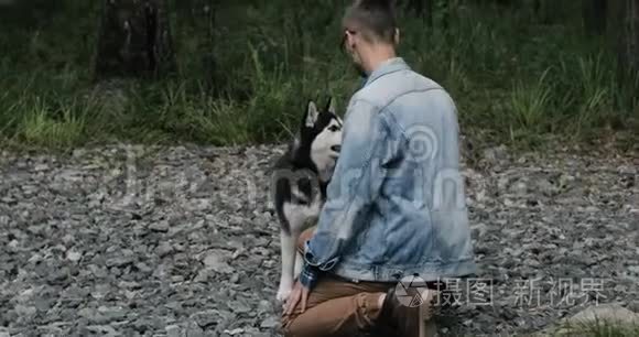 西伯利亚哈士奇搞笑狗在自然界视频