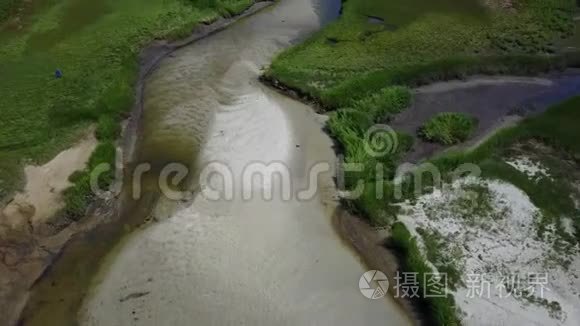 新英格兰沼泽生境的空中想象视频