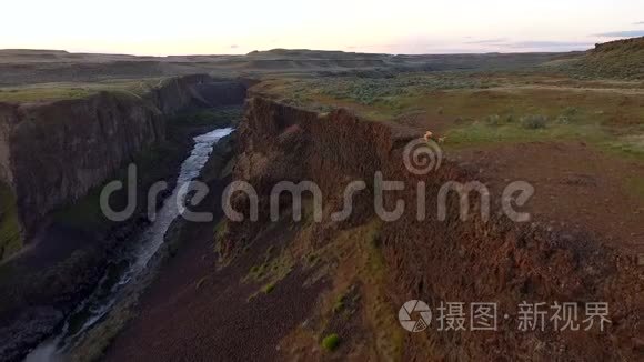 河岭蛇河野山羊跑步视频