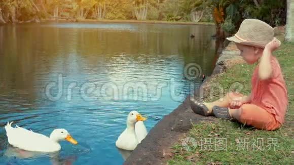 可爱的男孩在池塘里喂水鸟