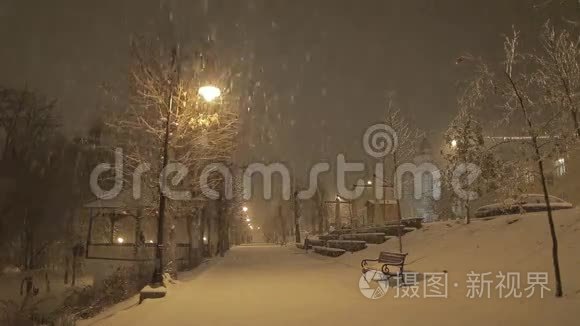 暴风雪中的灯