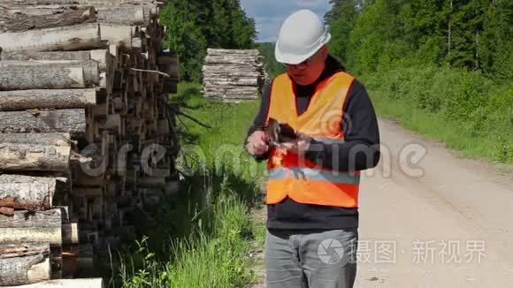 伐木工人检查桩木附近的树皮视频