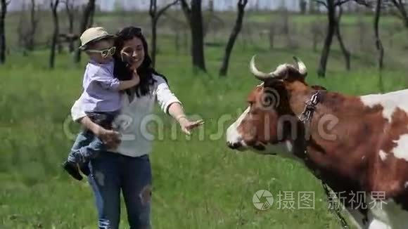 母亲把儿子抱在牛的手里视频
