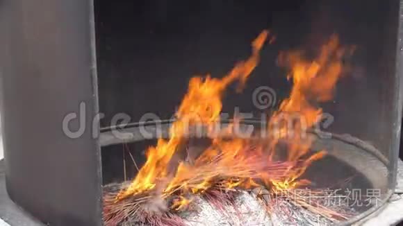 香枝在火中燃烧视频