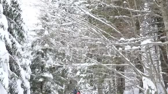 行走在冰雪覆盖的冬林中视频