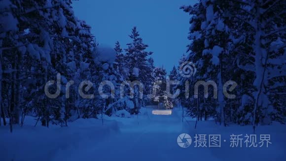 冬季森林和降雪中的大灯视频