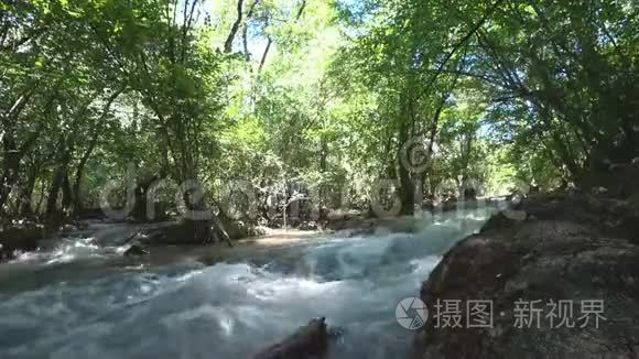 落叶林山河视频