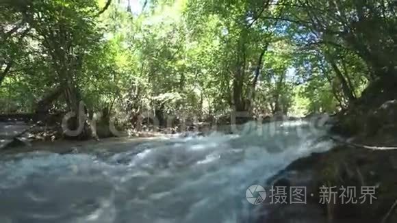 落叶林山河视频