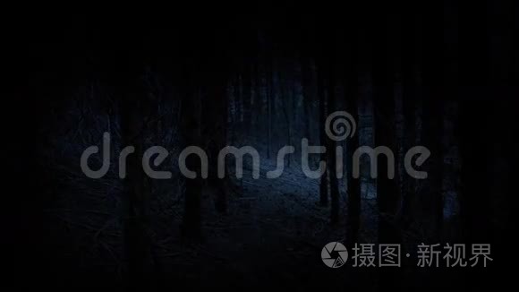 在黑暗中穿过可怕的森林视频
