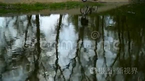 比基尼的剪影反映在水中视频