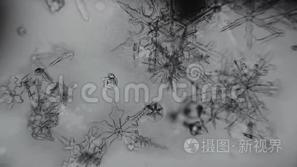 雪花在玻璃上融化视频