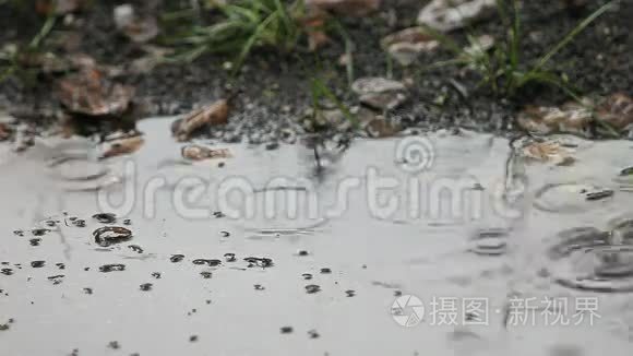 有气泡的雨坑视频