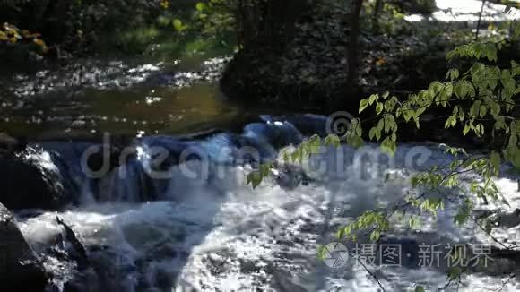 湍急的溪流，河水流过石头，奇妙的大自然景象的荒野。