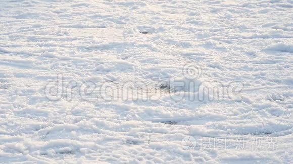 冰滑冰鞋穿在覆盖着雪的冰上视频