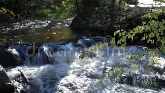 湍急的溪流，河水流过石头，奇妙的大自然景象的荒野。