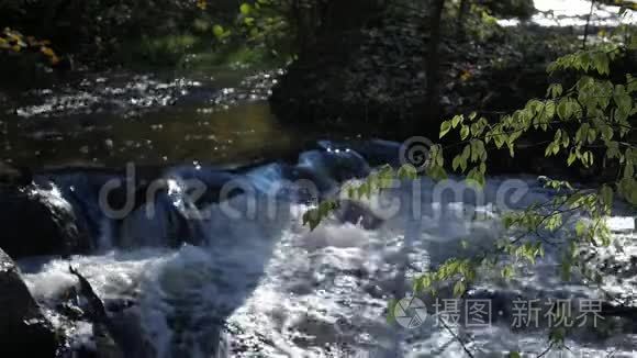 湍急的溪流，河水流过石头，奇妙的大自然景象的荒野。