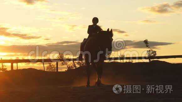 日落时骑马的女人的剪影视频