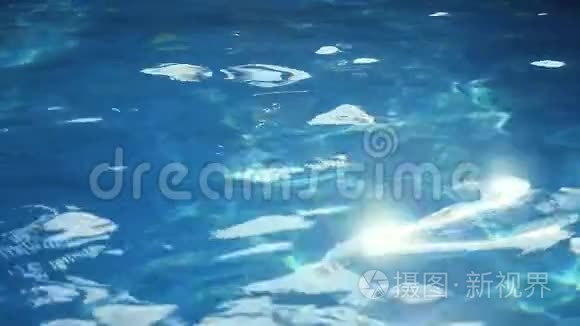 折射阳光在游泳池的水中,闪耀镜头耀斑在水上缓慢运动.
