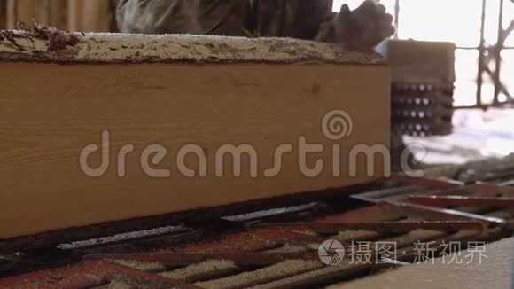 木工操作带木原木的工业锯床视频