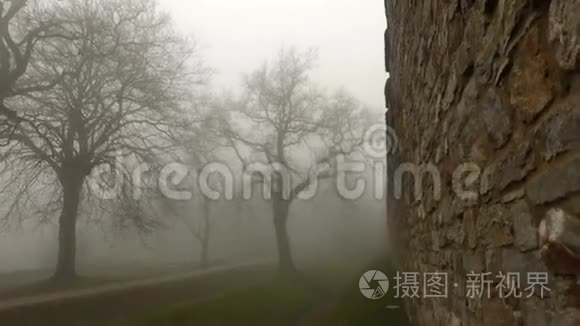 雾天古老的古堡墙和森林视频