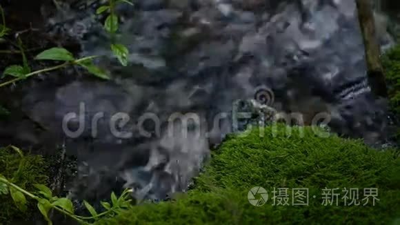 干净的泉水从山上流向瀑布视频