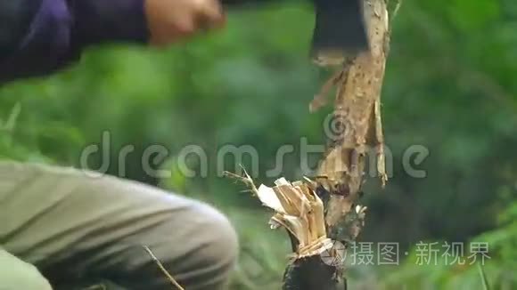 伐木工人用斧头砍木头视频