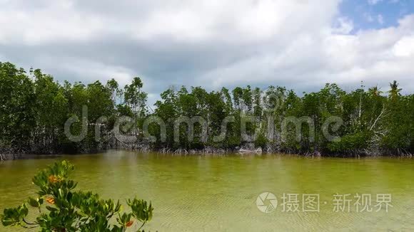 班塔扬红树林保护区视频