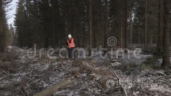 伐木工人在被毁的森林里工作视频