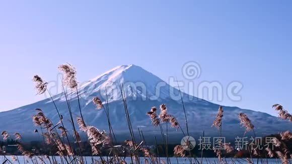 日本川美子湖富士山景观视频