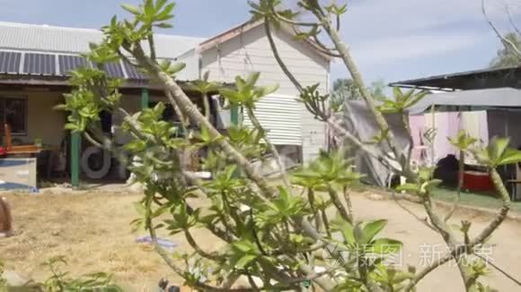 一张房子和灌木丛的照片视频