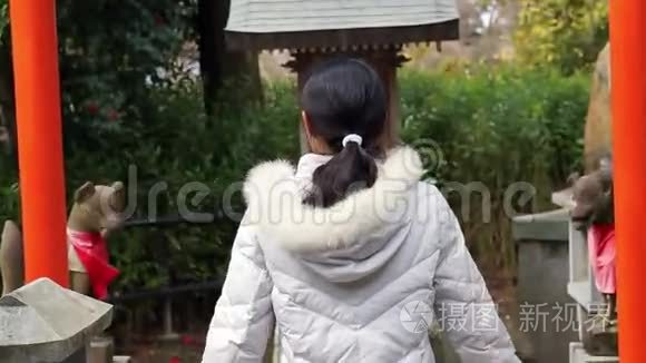 佛教女孩在日本红庙祈祷视频