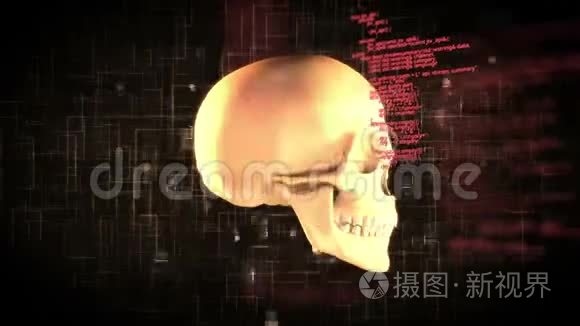 人类头骨和程序代码视频