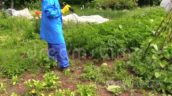 农民在植物上喷洒化肥农药视频