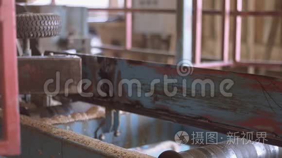 锯木厂木工机上的木材木板视频