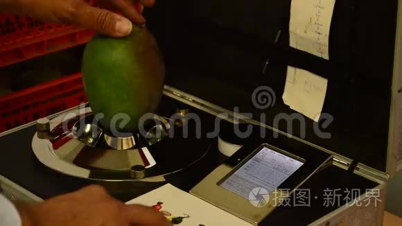 芒果水果热带试验线工业视频