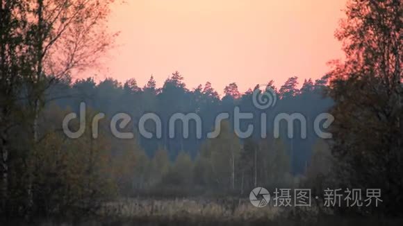 粉红色的日落在田野上视频