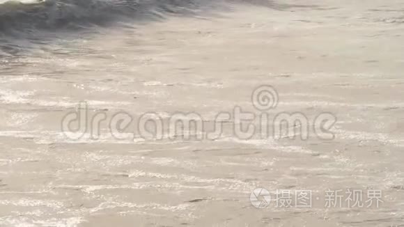 太平洋的波浪视频