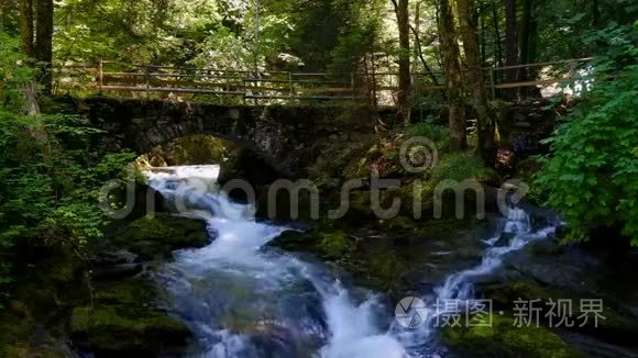 夏天森林里的瀑布视频