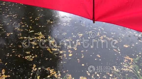 湖水和红伞上的秋雨视频