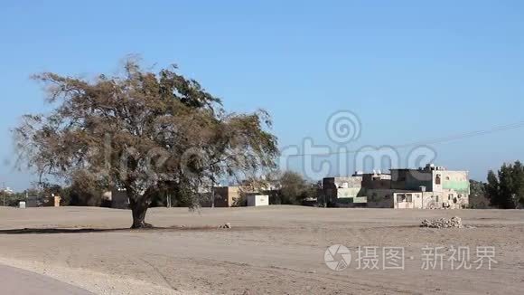 巴林普通的中东风景视频