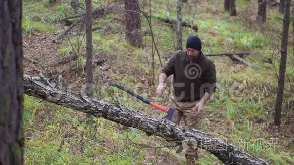 伐木工人在森林里砍柴视频