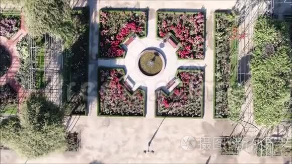 公园玫瑰花园的空中照片视频