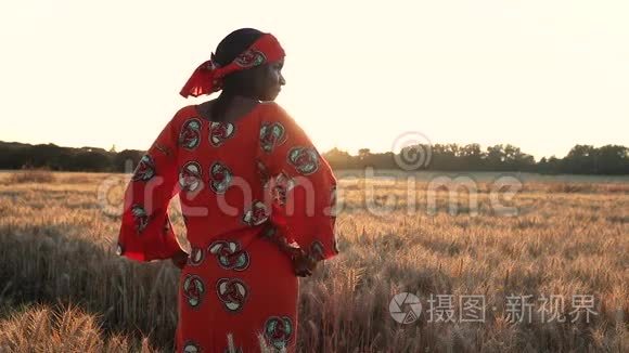 在日落或日出时穿着传统服装站在庄稼地里的非洲妇女