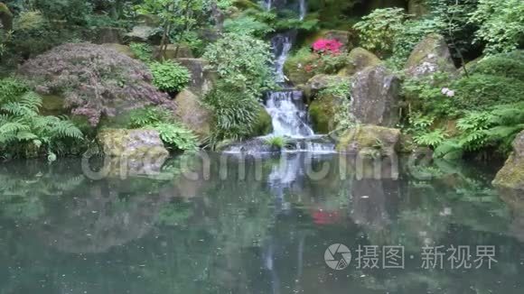 日本波特兰花园视频
