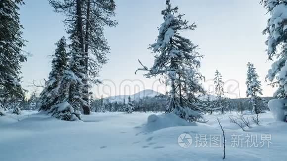 拉普兰的冬季森林景观视频