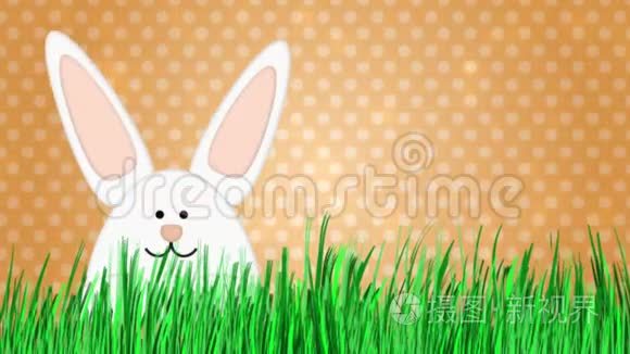 复活节兔子卡通插图广告空间视频