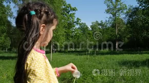 一个孩子在公园里玩蒲公英视频