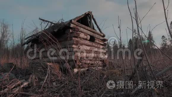 森林中的小木屋视频