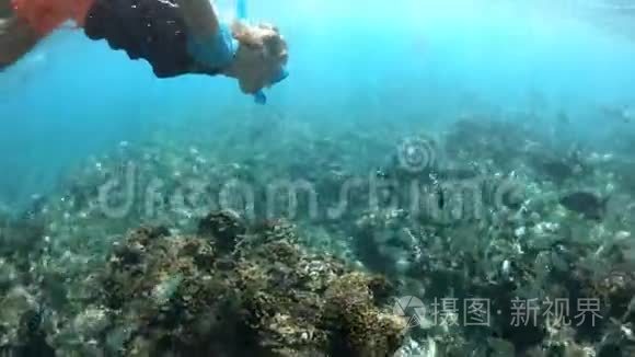 女人呼吸暂停浮潜费利西特岛视频