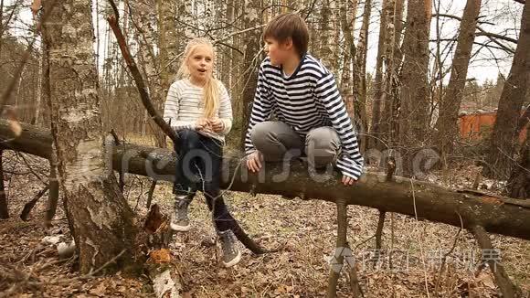 可爱的女孩和男孩在桦树林视频